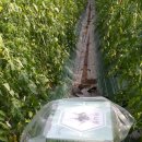 김동환농장 이미지