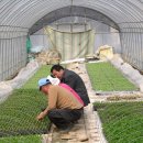 진도군 농업기술센터, 농업인 순회이동 상담반 운영 이미지