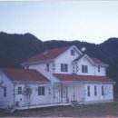 갈삼대로 이미지