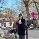 뉴욕애견 | 뉴욕 센트럴파크 마차 투어 애견 동반 I 강아지랑 뉴욕 여행 EP.5