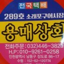 용매상회