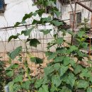 놀이터2 이미지