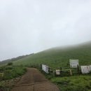 519비어 | 제주 서쪽 오름 중 가볼만한 곳 : 새별오름 비올때 가본 후기