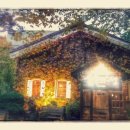 청춘-숲속의 섬,  이미지