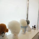 말숑말숑 이미지