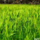 꿈꾸는강 이미지