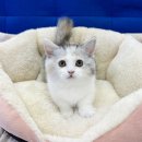 작고 소중해 이미지