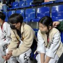 멋짐태권도 이미지