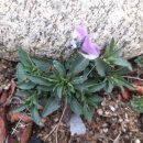 점봉농장 이미지