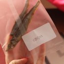 부농까까 이미지