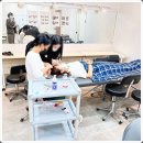 수련속눈썹 이미지