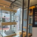 아띠동물의료센터 이미지