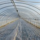 태양하우스 이미지