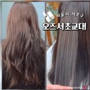 선욱 | 교대역 미용실 오즈 서초교대점 선욱디자이너 아윤채 클리닉 후기