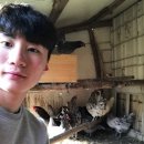 좋은인연농수산