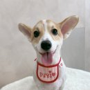 몽심살롱 이미지