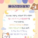 불광동물병원 이미지