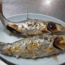 주문진회집 이미지