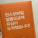 카카오뱅크 통신비 아끼기, 모두의 요금제 알뜰폰 개통 후기