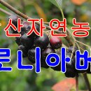 계방산자연농원 이미지