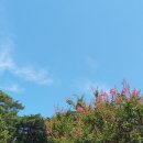 은정이발관