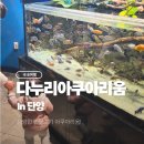 단양군장애인단체연합회 | <단양> 다누리아쿠아리움-민물고기 아쿠아리움(16개월 아기와 함께), 6세이하 영유아 무료관람