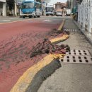 농소초교 이미지