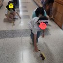 김O진 이미지