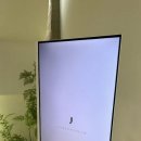 제이나니 이미지