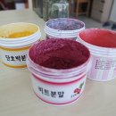 창업+부업~플라워 디자인 | 앙금플라워 주부도 배워 도전할 수 있어요