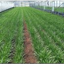 마을회관앞 이미지