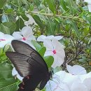 예일스테이 이미지