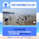[백미리마을]고동, 게잡이체험 네이버블로그