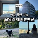 놀다 | 을왕리 애견동반 에버뷰 펜션 6만 원대 가성비 펜션 놀다 온 후기