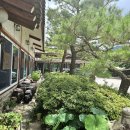 장단콩두부전문점 | 파주 소령원 장단콩 두부마을 두부버섯전골 내돈내산 후기