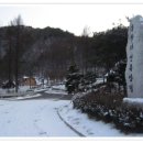 봉황자연휴양림 이미지