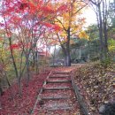 @ 도심에서 즐기는 만추, 인왕산자락길~황학정~서촌 둘러보기 (감투바위, 단군성전, 한양도성, 행촌동 은행나무) 이미지