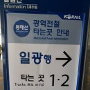 동해선거제해맞이역 Daum카페