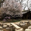 산성대로295번길 이미지