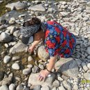 팔봉산로 이미지