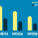 펫조이 이미지