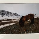 공연기획 푸른하늘 이미지