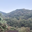 페나테스 | 충주 가족여행 풀빌라 펜션 숙소 - 페나테스 풀빌라(패밀리프라이빗독채, 가격, 후기)