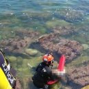 묵호항수변공원 이미지