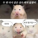 클래스호텔 | 아이랑 다낭원데이클래스 /다낭아트클래스/피비텔부티크 호텔 비추후기