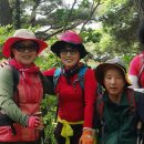 기곡2리 이미지