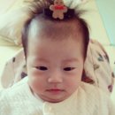 콩새야 놀자
