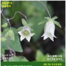 산의향기 티스토리