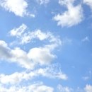 좋은아침한의원 | 교통사고 통원치료 일상 - 양산 더존 한방병원