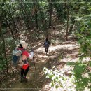 내곡동448 이미지